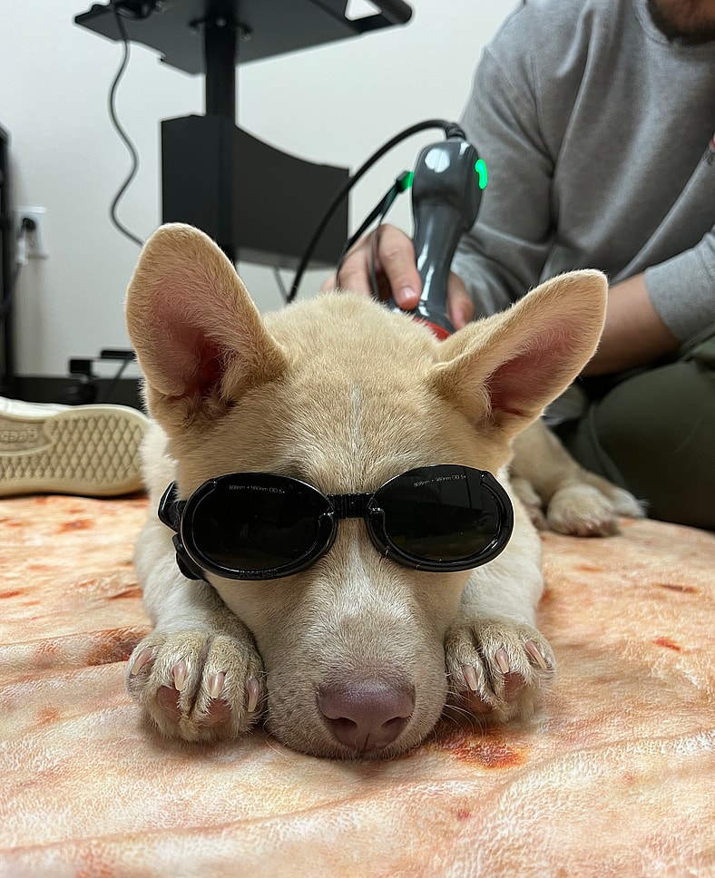 Lily getting treatment